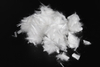 Monofilament Pp Polypropylene Fiber for Mortar Plaster Cracking Resistant